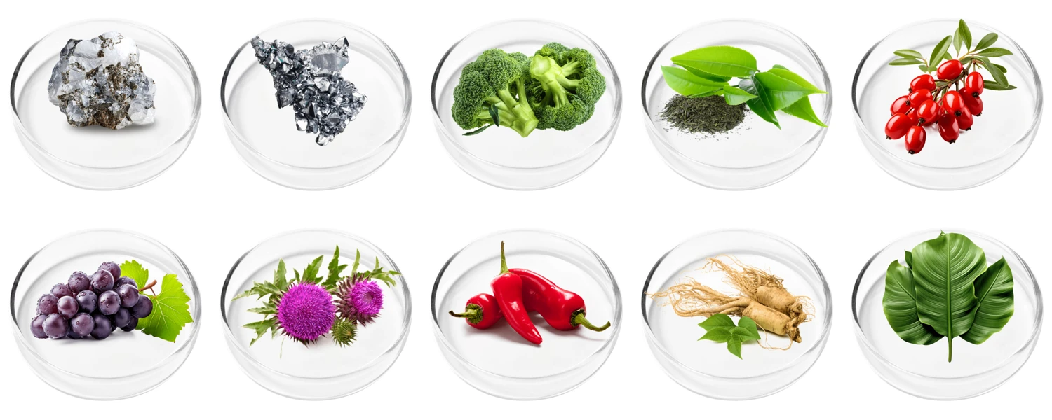 Vertigenics ingredients